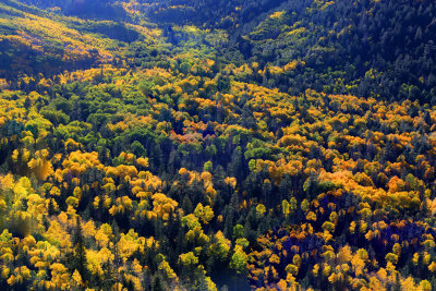 007-3B9A5332-Lockett Meadow Views, Flagstaff.jpg