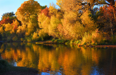 0010-Fall Reflections in Oak Creek,Sedona.jpg