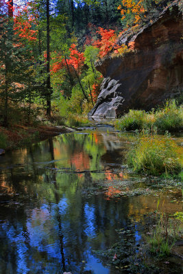 0011-West Fork Autumn-.jpg