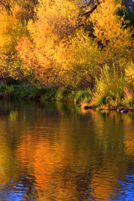 0016-IMG_9238-Fall Reflections in Oak Creek.jpg