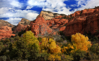 0025-IMG_8815-Sedona Landscapes in the Fall.jpg