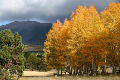 0027-San Francisco Peaks.jpg