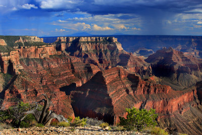 005-Grand Canyon Monsoon Storm--.jpg