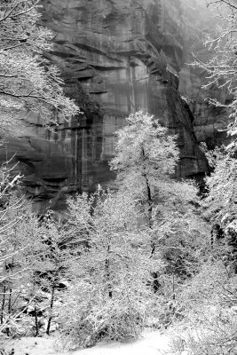 0013-IMG_7454-1a(499)-Winter Wonderland of Oak Creek Canyon.jpg