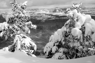 0019-IMG_9698-Grand Canyon Winter Views.jpg