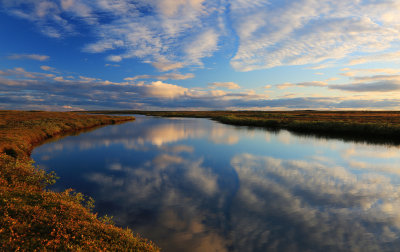 canadian_arctic