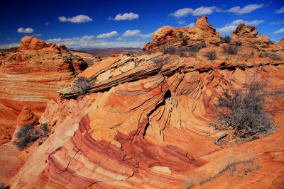 0033-IMG_0126-South Coyote Buttes Landscape.jpg