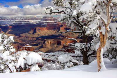 002-IMG_9839-Grand Canyon Winter.jpg