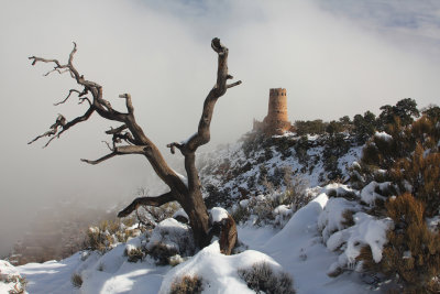 0019-IMG_2179-Misty Views of the Watchtower, Grand Canyon.jpg