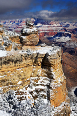 0030-IMG_8297-Duck-on-a-Rock Winter Views, Grand Canyon.jpg