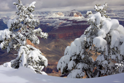 0040-IMG_9698-Grand Canyon Winter Views-.jpg