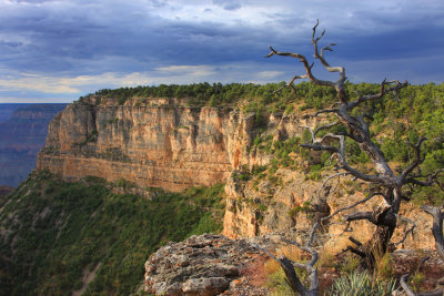 0075-IMG_4006-Grand Canyon Views.jpg