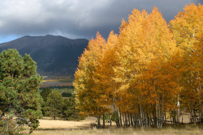 009-San Francisco Peaks-.jpg