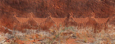 0021-IMG_1064-Ancient Petroglyph, Marble Canyon.jpg