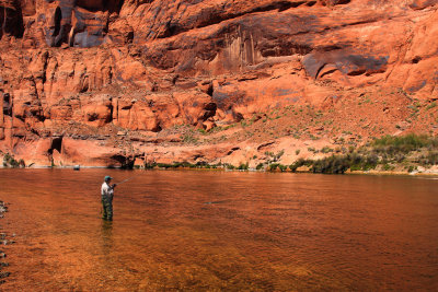 0024-IMG_1300-Trout Fishing in the Colorado River, Marble Canyon.jpg