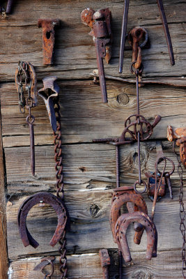 0019-IMG_8975-Rusty Gold.jpg