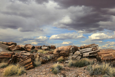 painted_desert__petrified_forest_national_park