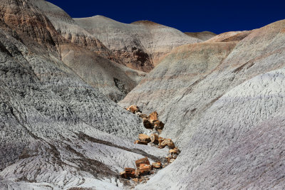 0014-3B9A7809-Painted Desert Views.jpg