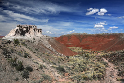 0020-3B9A8487-Painted Desert Hiking Trail.jpg