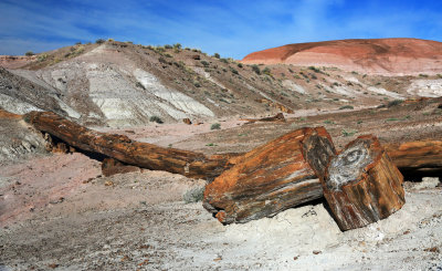 0026-3B9A9023-Painted Desert & Petrified Forest Views.jpg