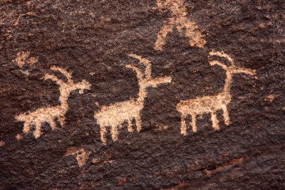 0029-IMG_0544-Ancient Petroglyph.jpg