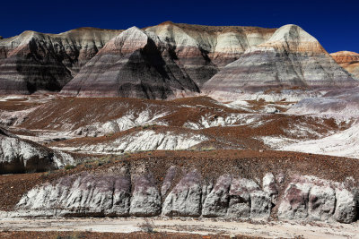 0030-3B9A7948-Painted Desert & Petrified Forest Landscapes.jpg