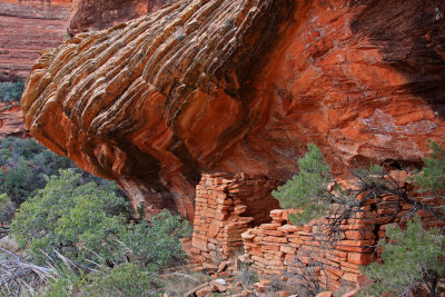 0047-IMG_9991-Ancestral Cliff Dwelling, Sedona.jpg