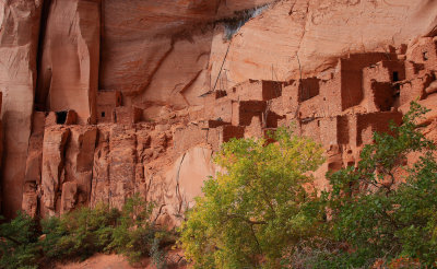 0088-IMG_0760-Betatakin Ruin, Navajo National Monument.jpg
