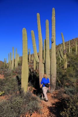 009-3B9A4417-Hiking in the Sonoran Desert-.jpg