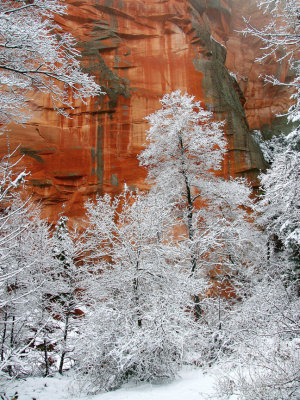 0049-IMG_7454-1a(499)-Oak Creek Canyon Winter Views.jpg