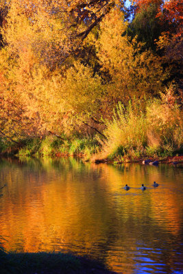 0056-IMG_9199V2-Fall Reflections in Oak Creek at Sunset.jpg