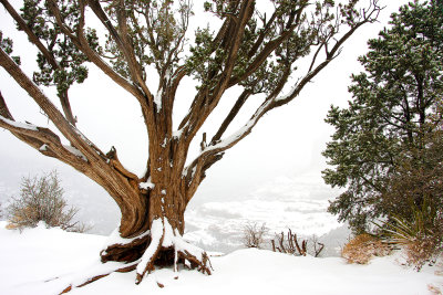 0058-IMG_9408-Red Rock Country Winter Views.jpg