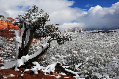 0072-3B9A6807-Winter comes to Red Rock Country.jpg