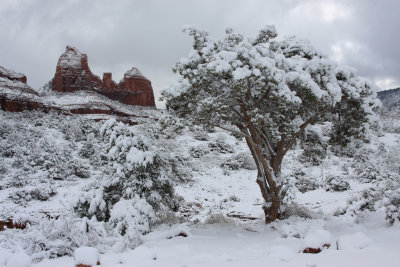 0077-IMG_0793-1aa-Winter comes to Red Rock Country.jpg