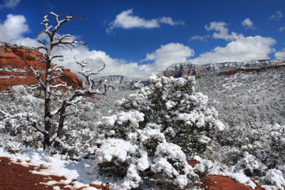 00100-IMG_9936-Winter Comes to Red Rock Country, Sedona.jpg