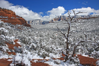00138-IMG_9904-Winter Arrives to Red Rock Country, Sedona.jpg