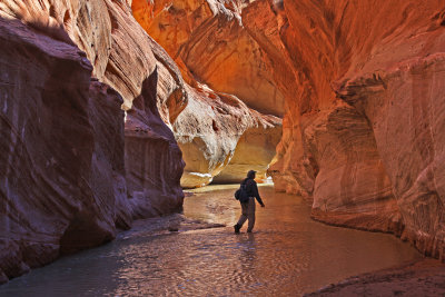 0054-IMG_3893-Glowing Light in Paria Canyon.jpg