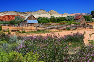 0056-Utah Landscape-.jpg