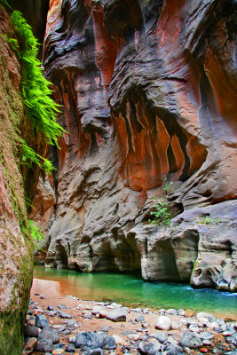 0069-IMG_3118-The Narrows, Zion National Park.jpg