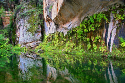 005-IMG_5595-Reflections of West Clear Creek.jpg