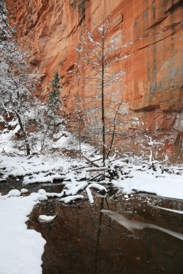 04-3B9A8344-Oak Creek Canyon in Winter.jpg