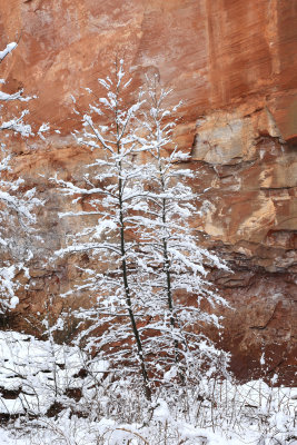 013-3B9A7776-Winter Views of Oak Creek Canyon.jpg