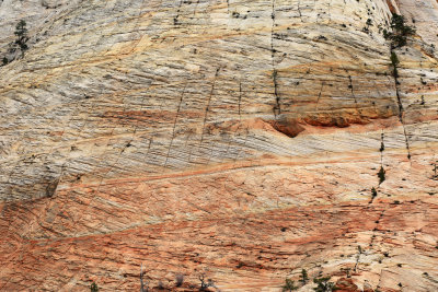 00107-3B9A6214-Zion National Park Geological Views.jpg