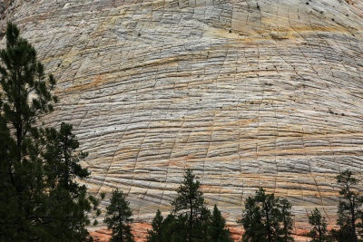 00108-3B9A6262-Zion National Park Geological Views.jpg