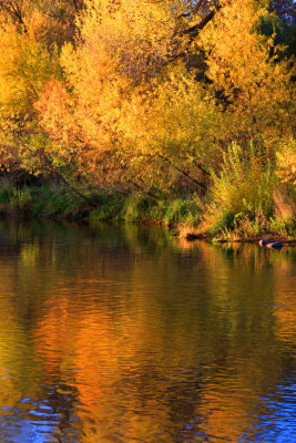 0041-IMG_9238-Fall Reflections in Oak Creek.jpg