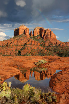 0046-Reflections of Cathedral Rock-Sedona.jpg