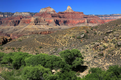0054-3B9A0695-Grand Canyon Views from Indian Gardens Area.jpg