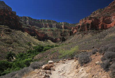 00111-3B9A0663-Indian Garden Views from Plateau Point Trail, Grand Canyon.jpg