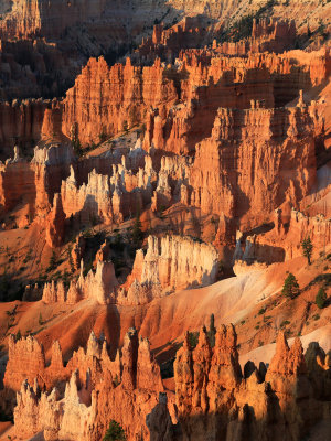 00117-3B9A4572-Bryce Canyon Hoodoos at Sunrise.jpg