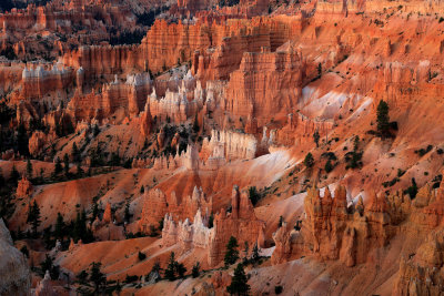 00121-3B9A4364-Bryce Canyon Sunrise Views.jpg